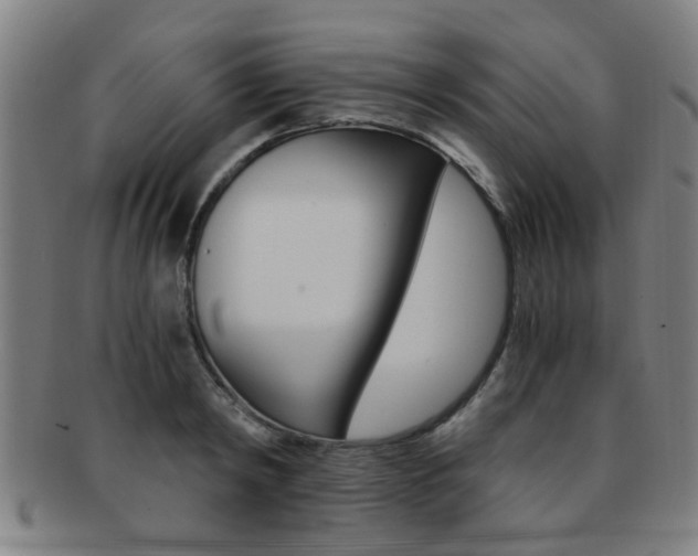 X0000091880798200709051014