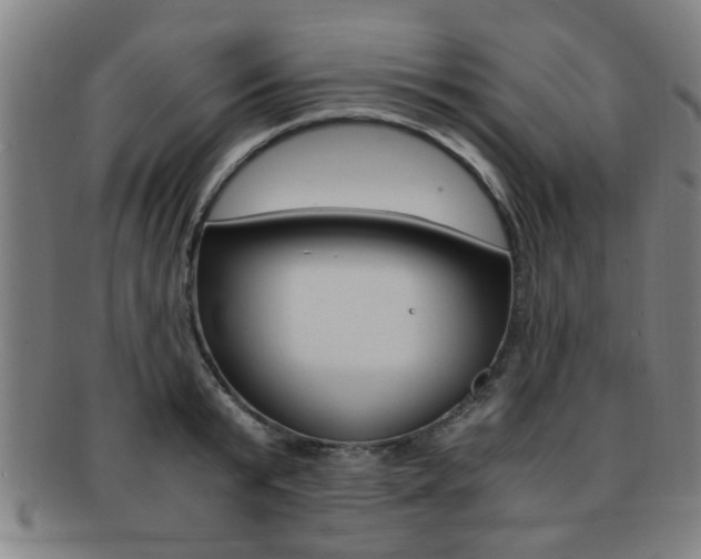 X0000091880799200709051014