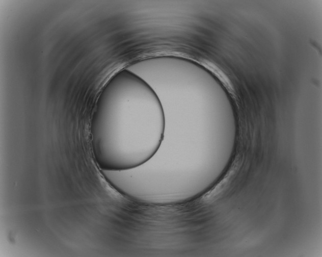 X0000091880801200709051014