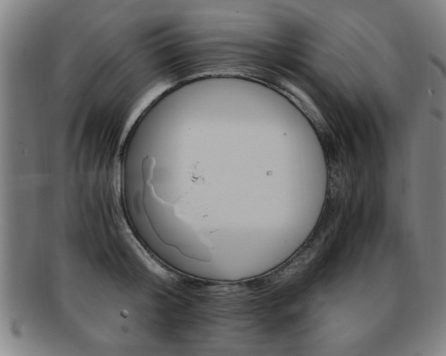 X0000091880804200709051013