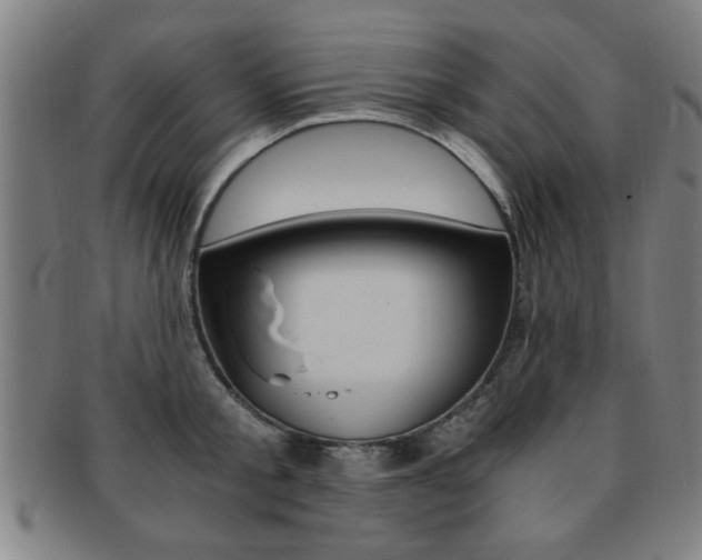 X0000091880805200709051013