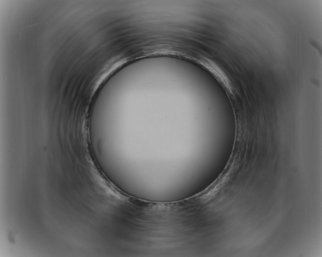X0000091880806200709051013