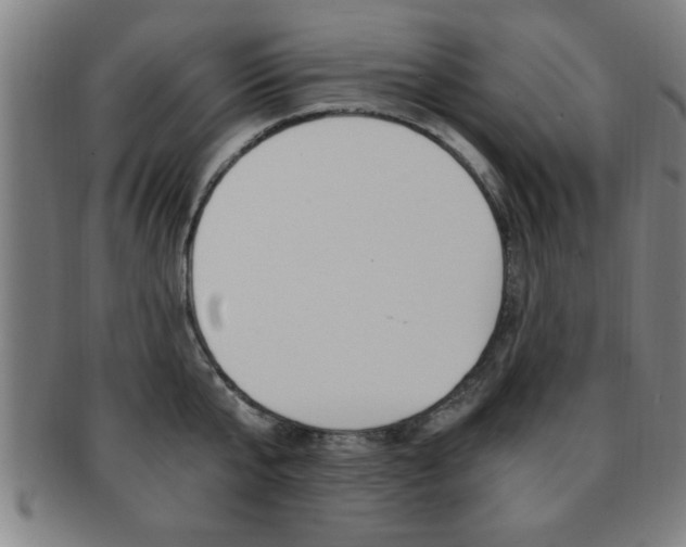 X0000091880807200709051013