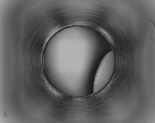 X0000091880808200709051013