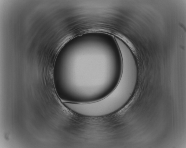 X0000091880809200709051013