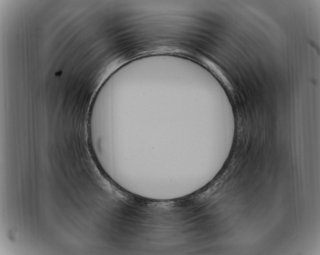 X0000091880810200709051013
