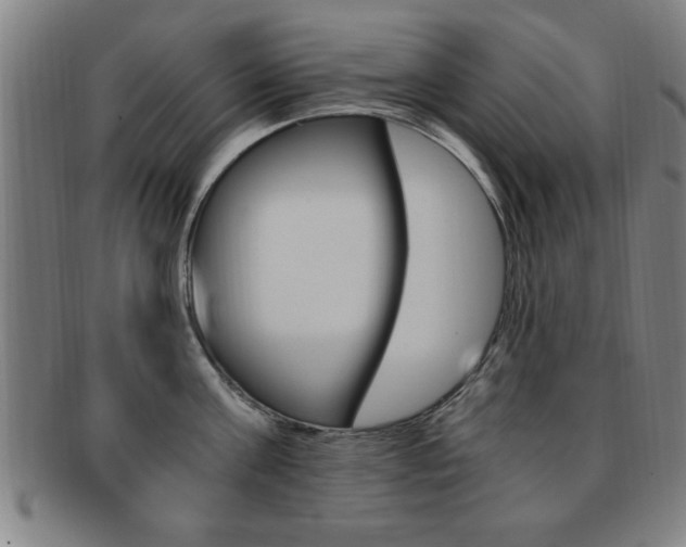 X0000091880811200709051013