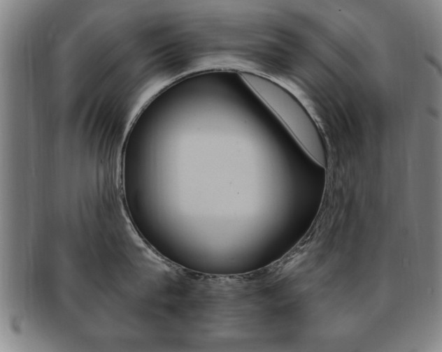 X0000091880815200709051013