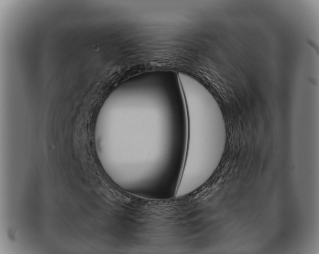 X0000091880817200709051013