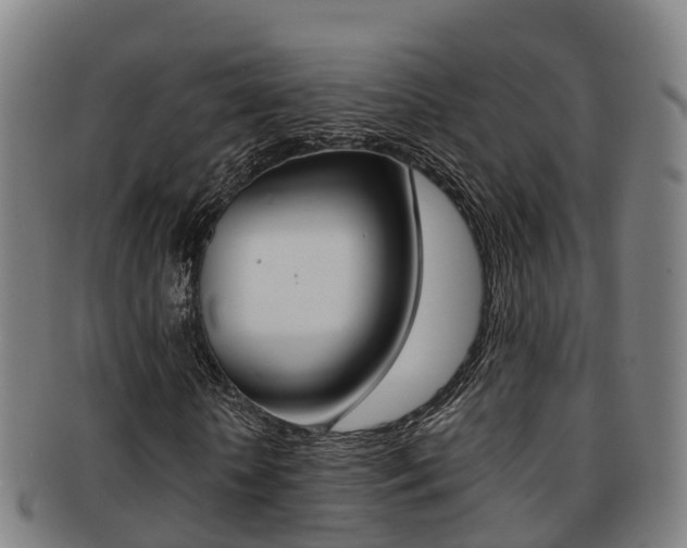 X0000091880818200709051013