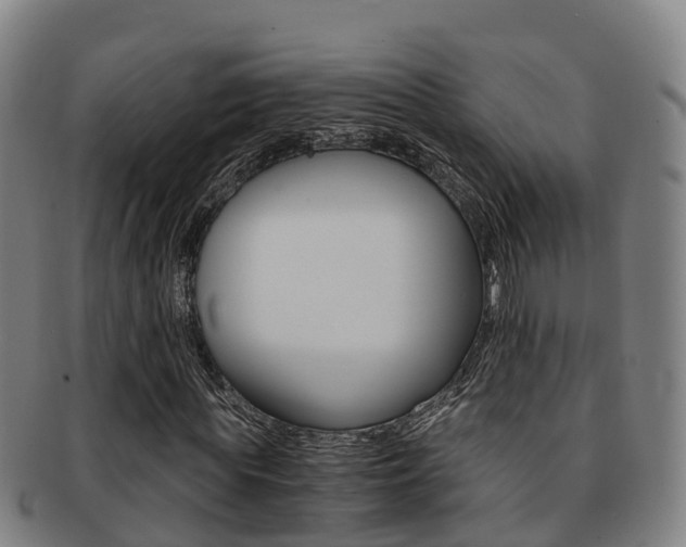 X0000091880819200709051013