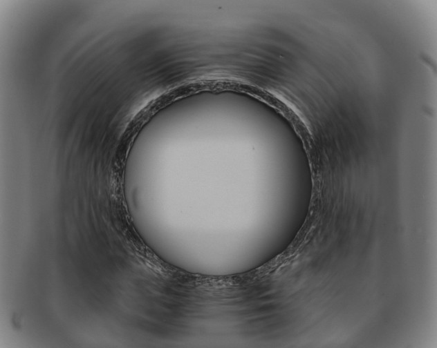 X0000091880823200709051013