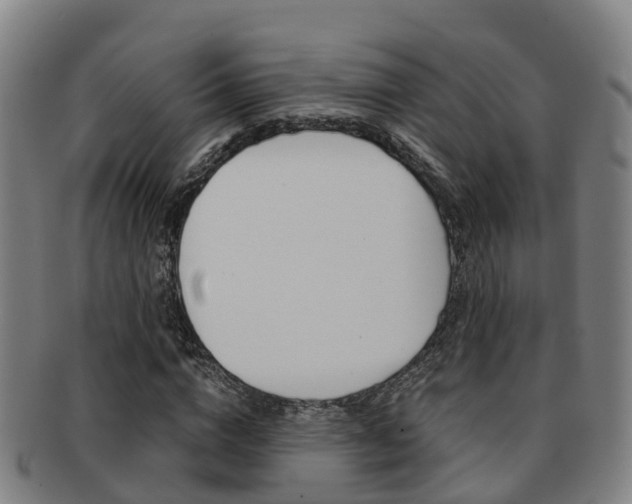 X0000091880824200709051013