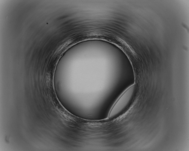 X0000091880825200709051013