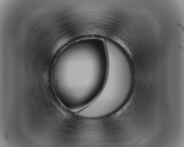 X0000091880826200709051013