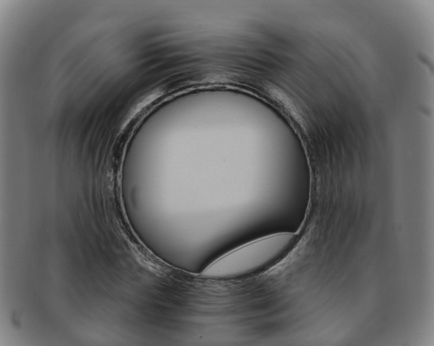X0000091880827200709051013