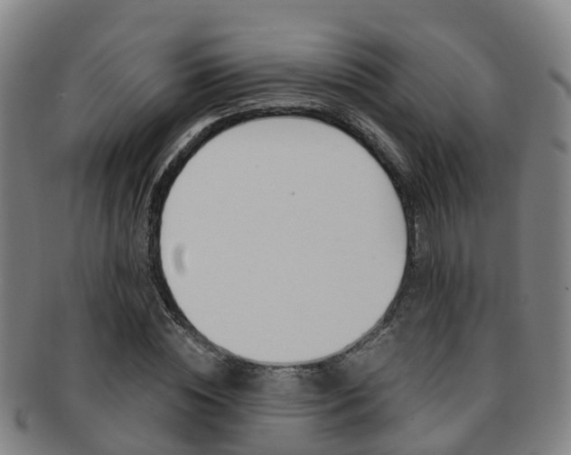 X0000091880828200709051013