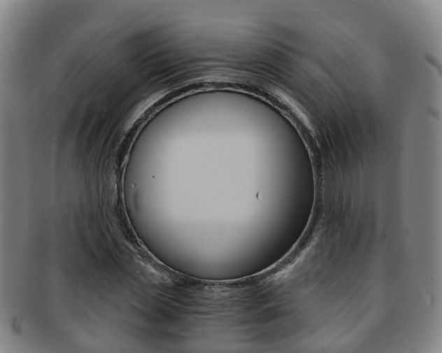 X0000091880829200709051013
