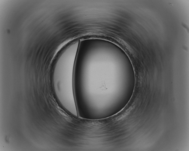 X0000091880830200709051013
