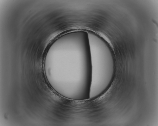 X0000091880831200709051013