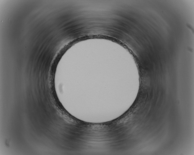 X0000091880832200709051013
