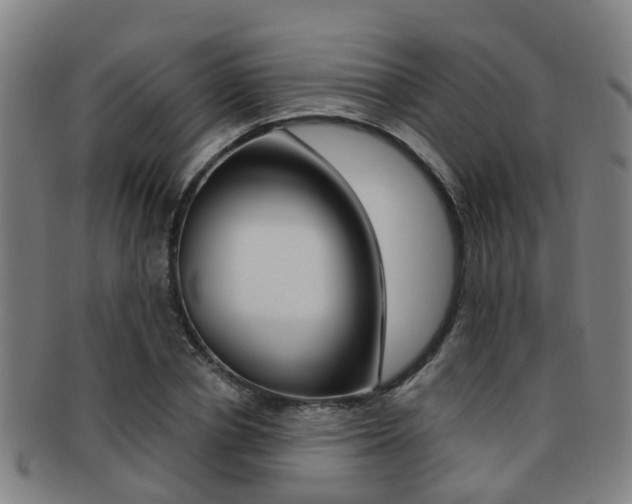 X0000091880834200709051013