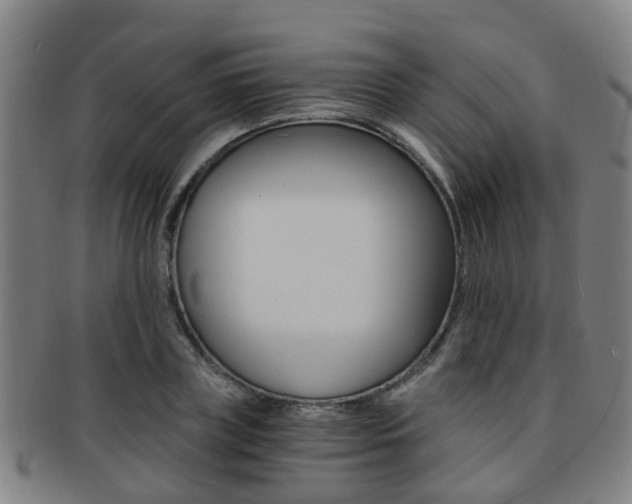 X0000091880835200709051013