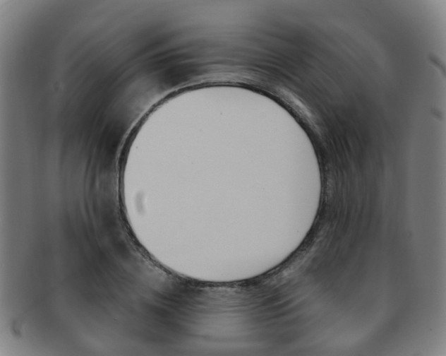 X0000091880836200709051013