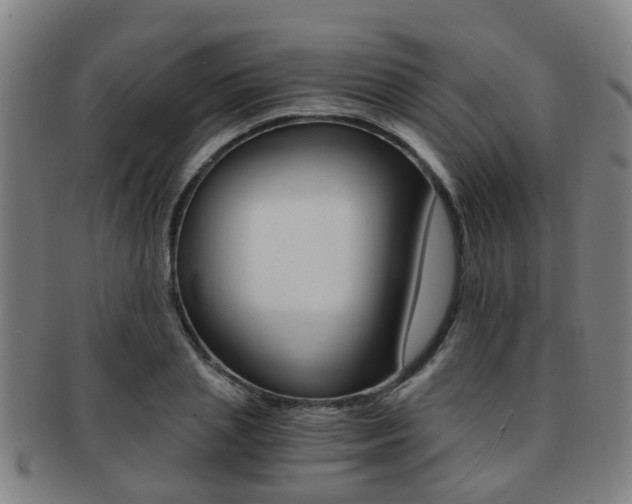 X0000091880837200709051013