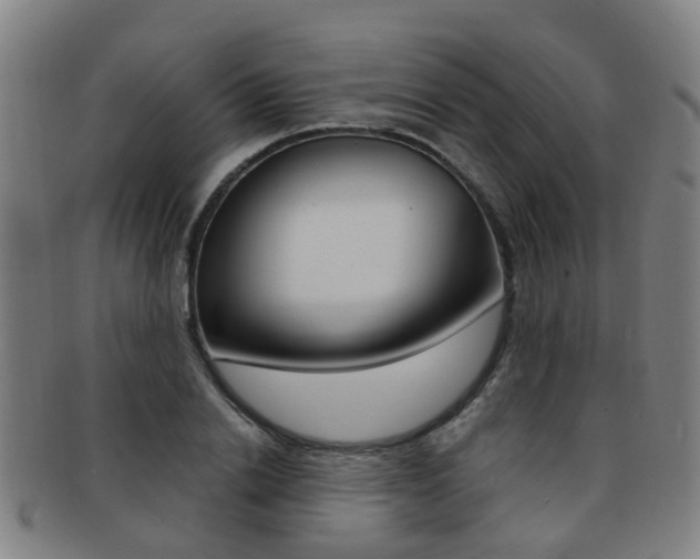 X0000091880838200709051013