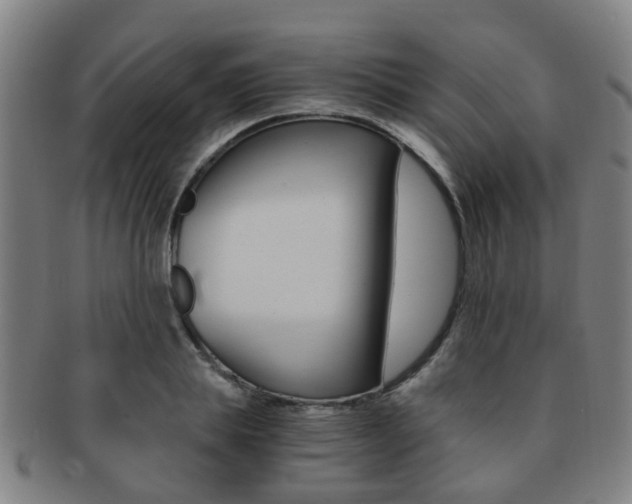 X0000091880839200709051013