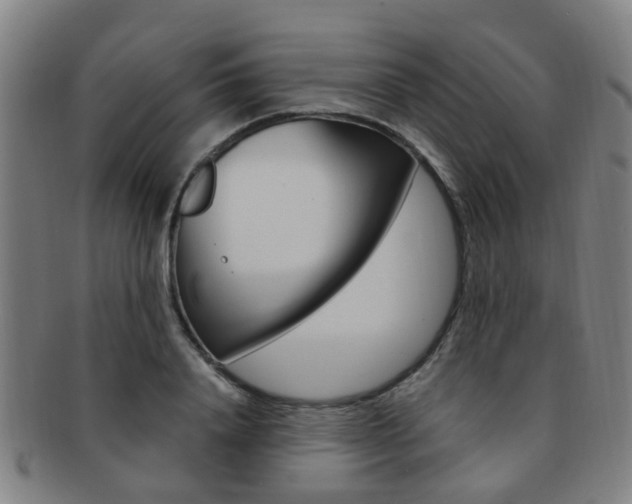 X0000091880840200709051013