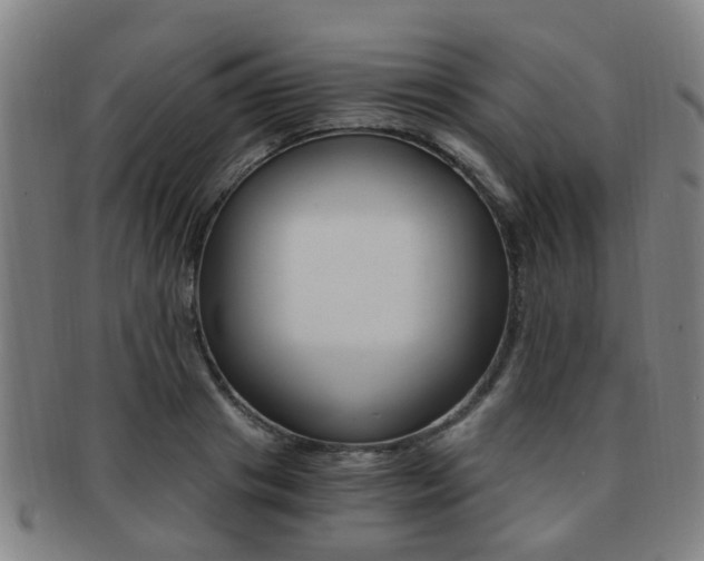 X0000091880841200709051013