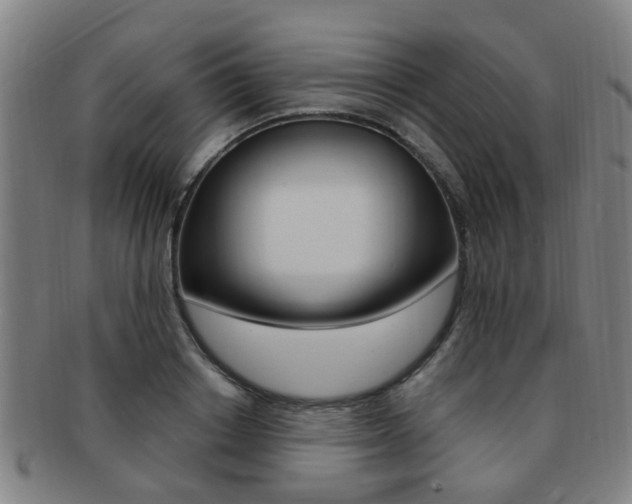 X0000091880842200709051013