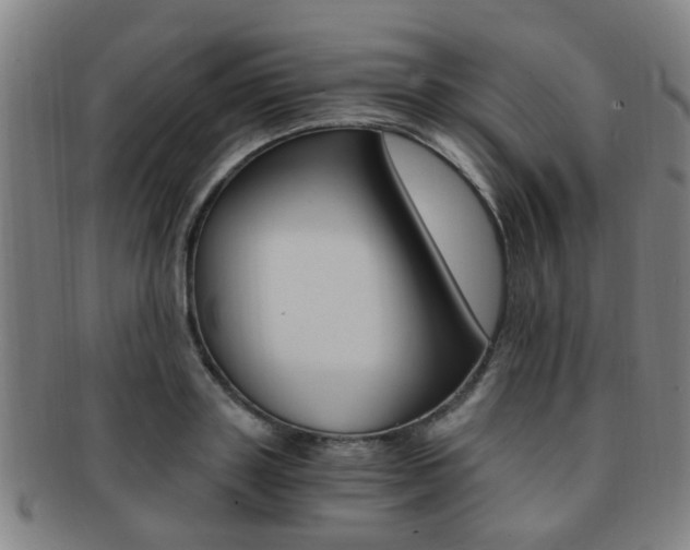 X0000091880843200709051013