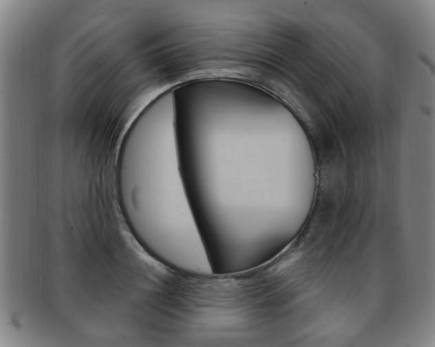 X0000091880844200709051013
