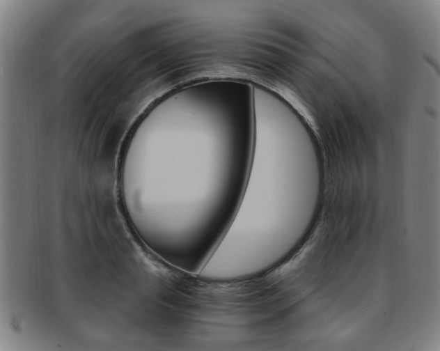 X0000091880845200709051013