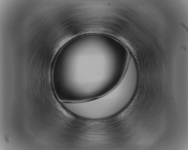 X0000091880846200709051013