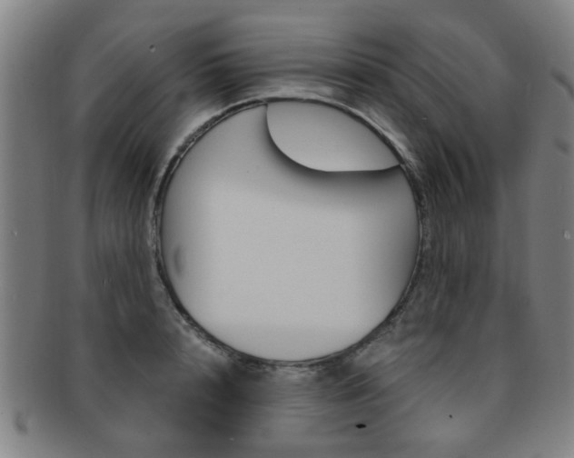 X0000091880848200709051013