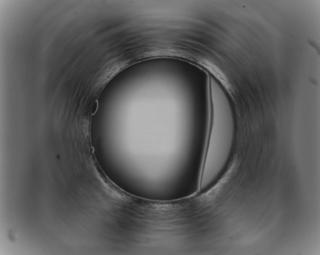 X0000091880849200709051013