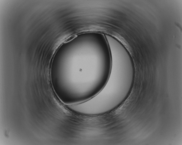 X0000091880850200709051013