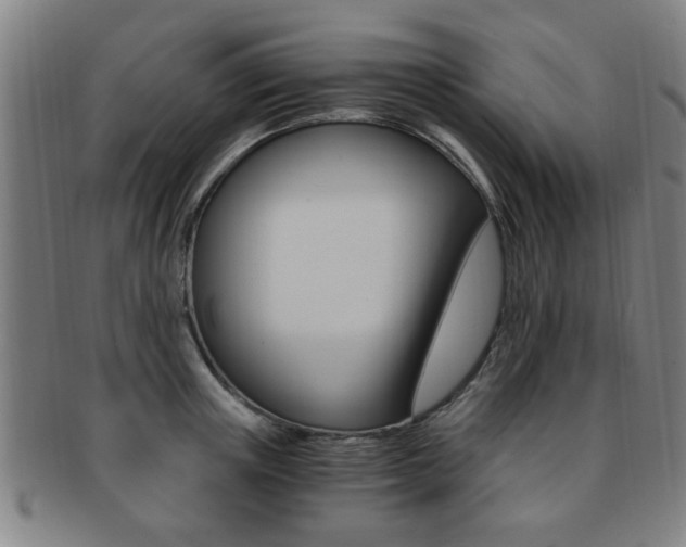 X0000091880851200709051013