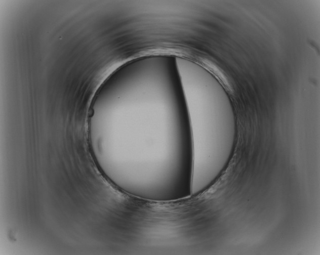 X0000091880852200709051013