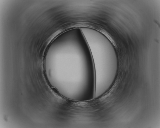 X0000091880853200709051013