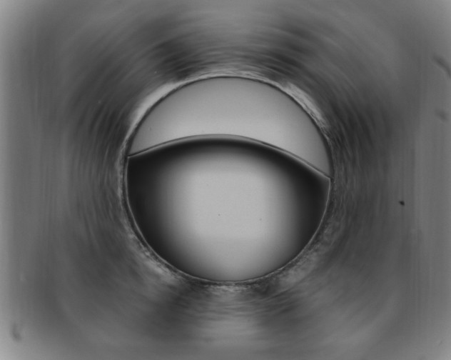 X0000091880854200709051013