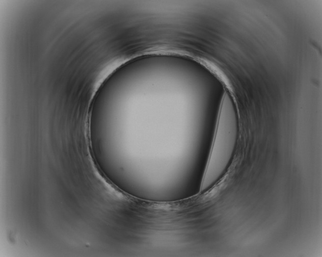 X0000091880855200709051013