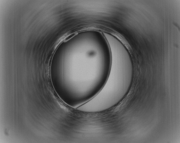 X0000091880858200709051013