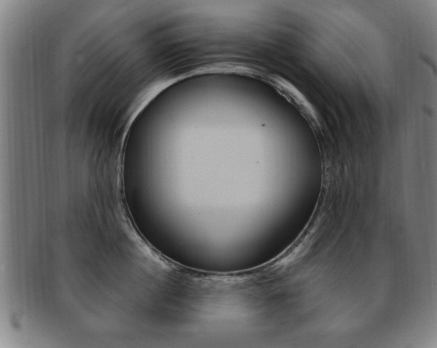 X0000091880860200709051013