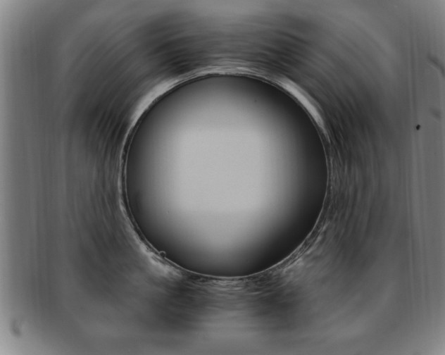 X0000091880861200709051013