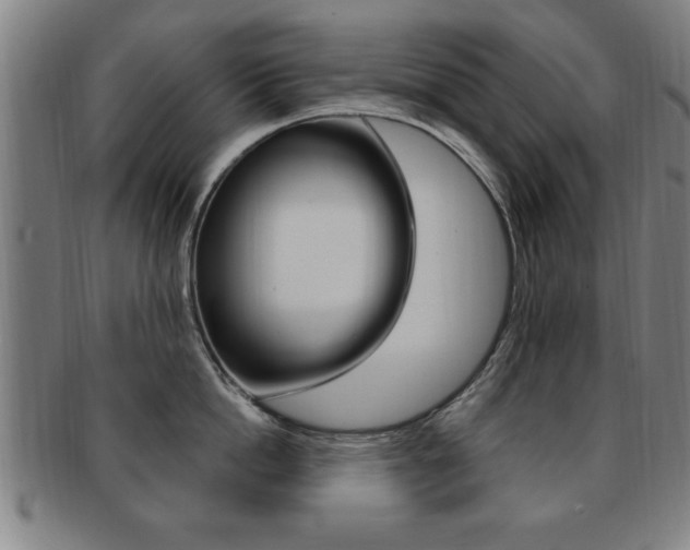 X0000091880862200709051013